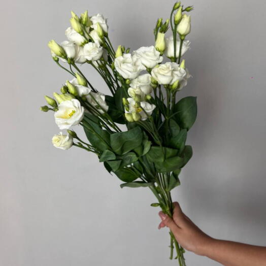 Букет из Эустомы