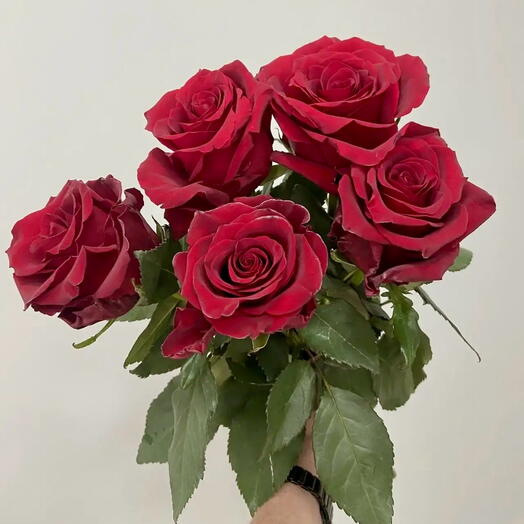 Красные розы 5 шт