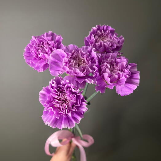 Букет из 5 одноголовой лунной гвоздики