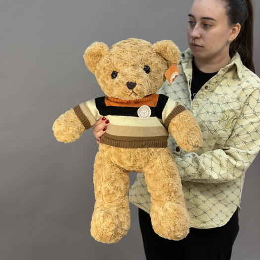 Мишка в кофте мягкий
