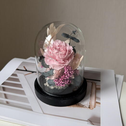 Клош с стабилизированной розовой пионовидной розой (роза в колбе)