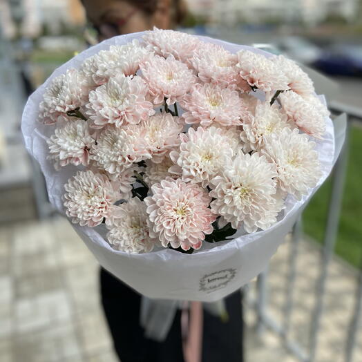 Нежно-розовый букет из хризантем в воздушной упаковке 💕