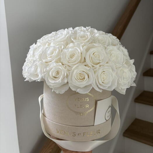 White dream