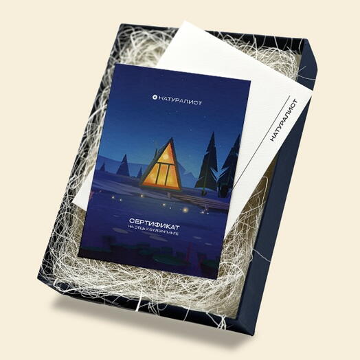 Подарочный сертификат номинал 10000 руб. на отдых в глэмпинге в подарочной упаковке