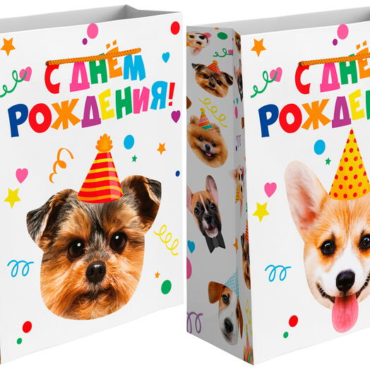 Пакет подарочный двусторонний, Собачка в колпачке, 23*18*10 см
