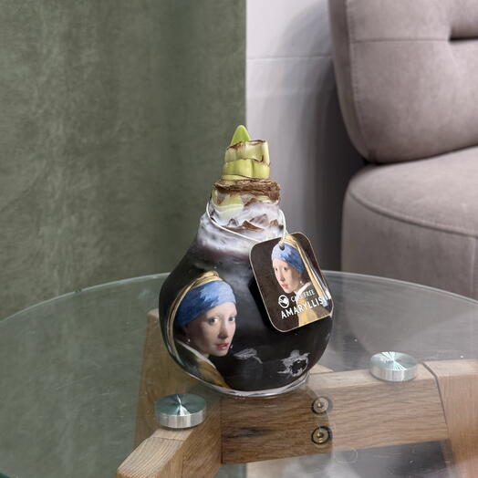 Луковица Амариллис/ АРТ