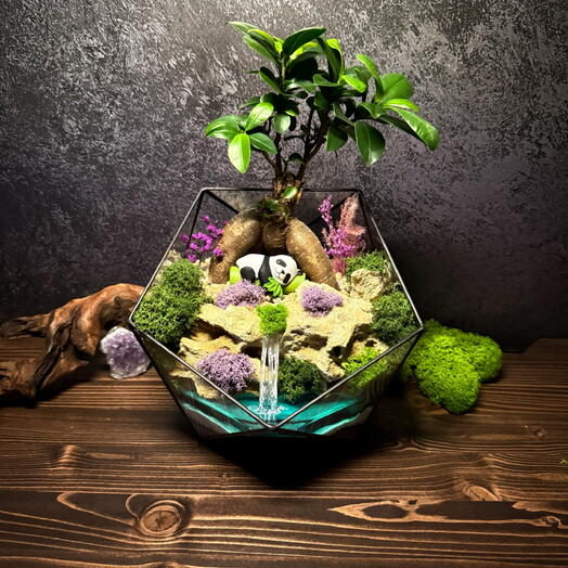 Флорариум с фикусом в стиле бонсай «отдых в Китае» 🐼🍃