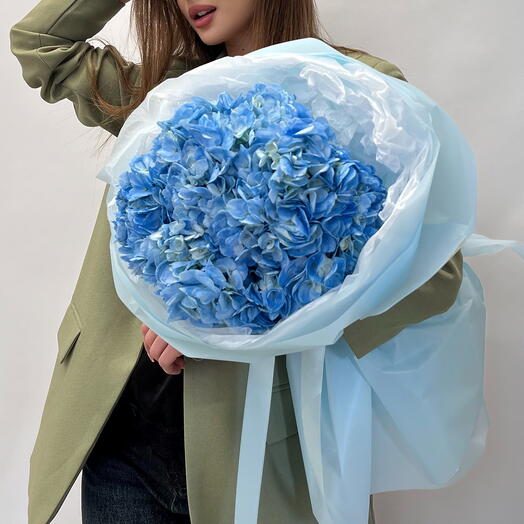 Гортензия blue