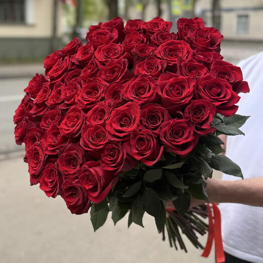 51 эквадорская высокая красная Роза PREMIUM