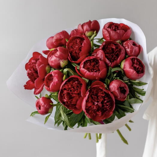 BURGUNDY PEONY🌺