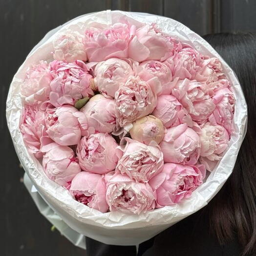 Акция❣️ 25 пионов нежно розовых