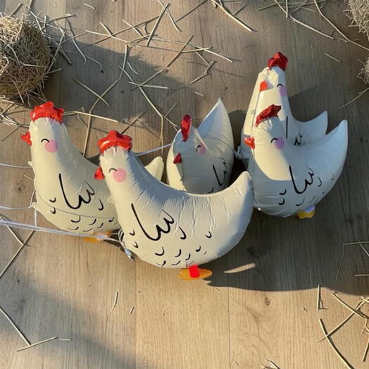 Сет Курочки🐥