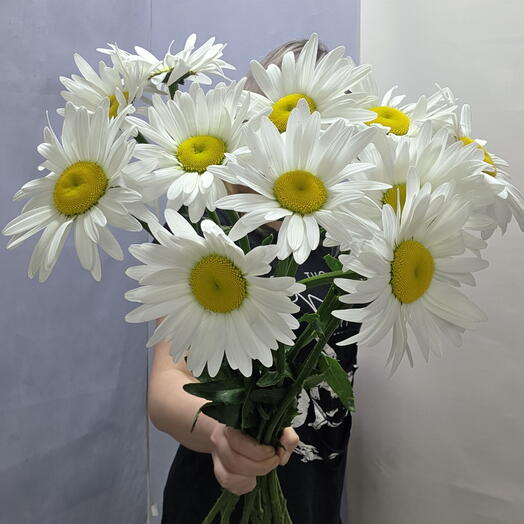 Букет из ромашек