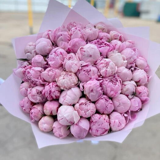 55 розовых пионов