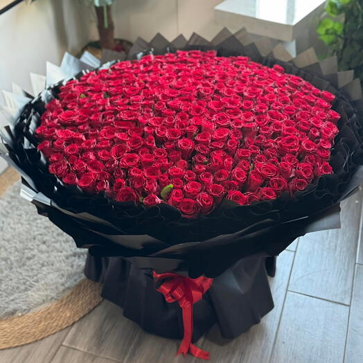 Букет из 301 розы 🌹