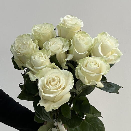 9 роз «Мондиаль»