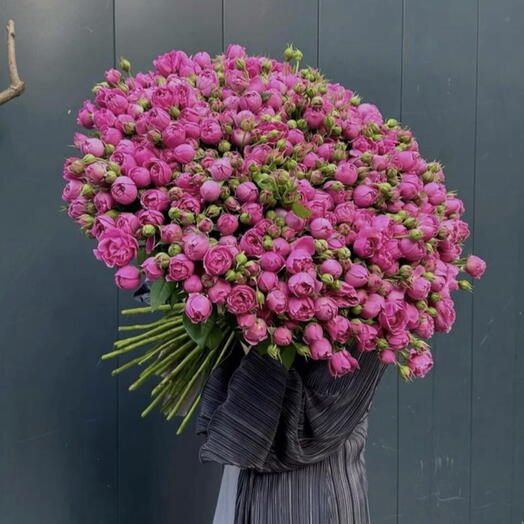 Peony Wonderland