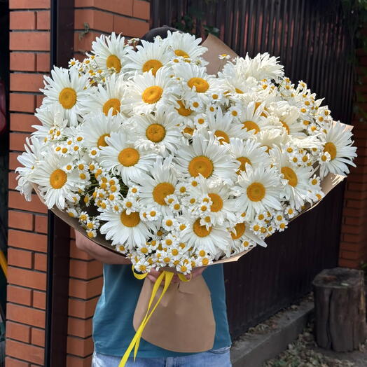 Букет из 39 крупных ромашек