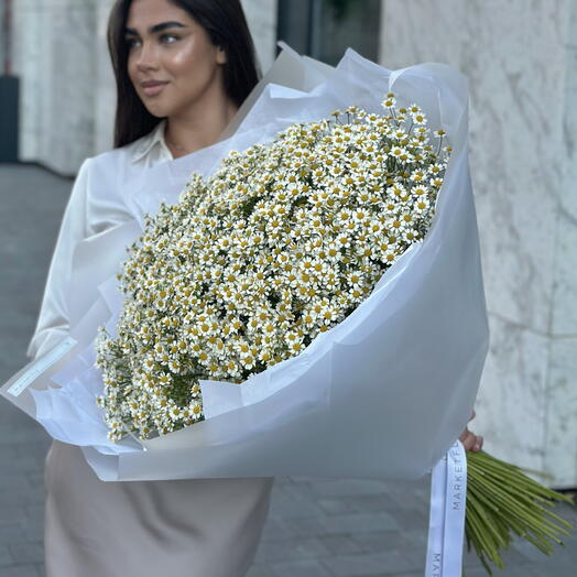 ГИГАНТСКИЙ БУКЕТ ИЗ РОМАШЕК МАТРИКАРИЯ