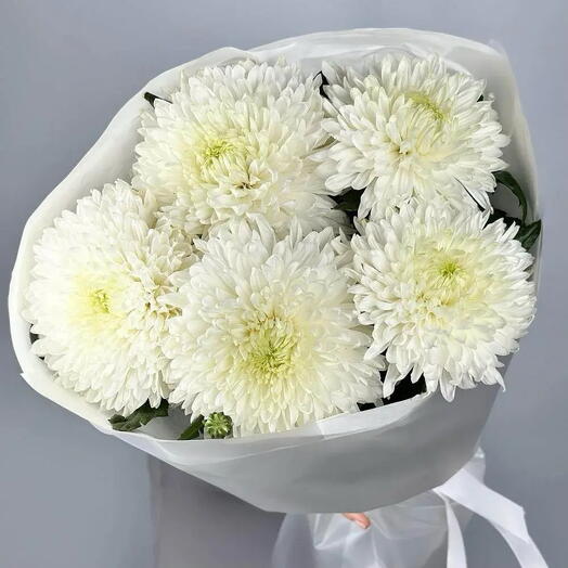 💐🌼 Букет 🔝из 5 одноголовых хризантем