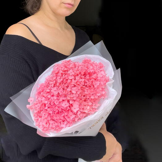 Hydrangea stabilized pink