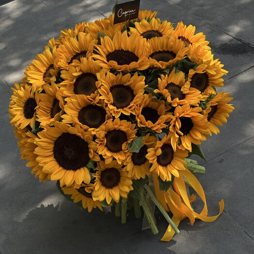 🌻 подсолнухи
