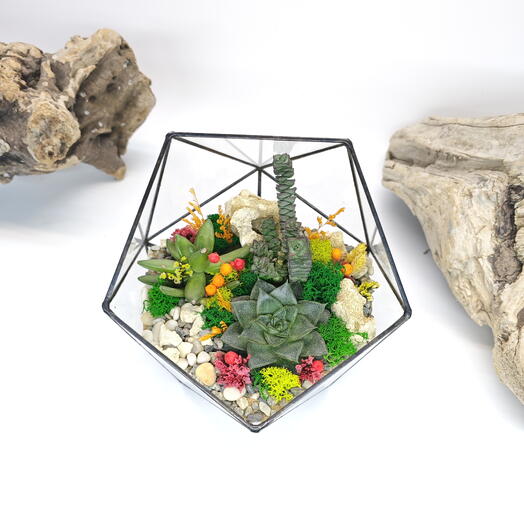 Florarium con suculentas" Brillante " Icosaedro 16cm