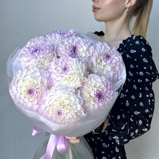 Нежные сиреневые георгины, 9 шт