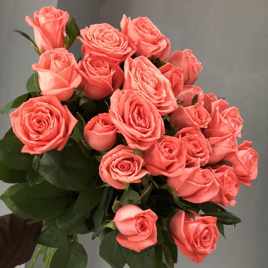25 коралловых роз
