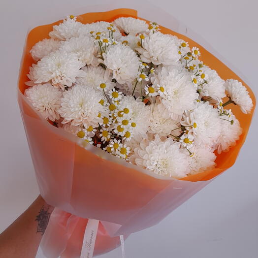 Летнее солнце/хризантема кустовая/матрикария/цветывуфе