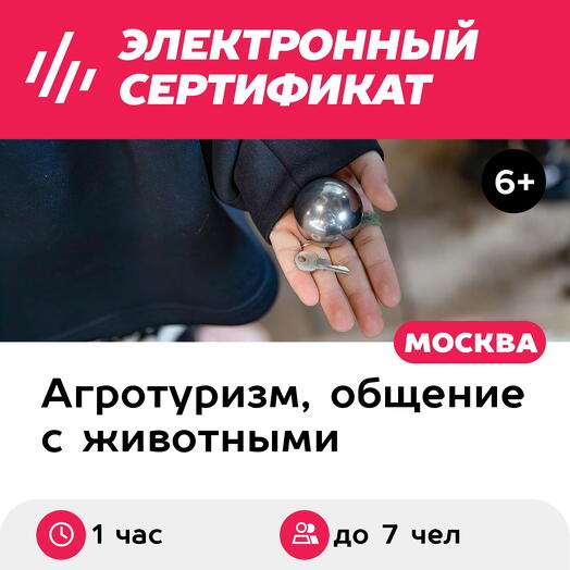 Подарочный сертификат Детективный детский квест на конюшне, до 7 человек (1 час) (Москва)