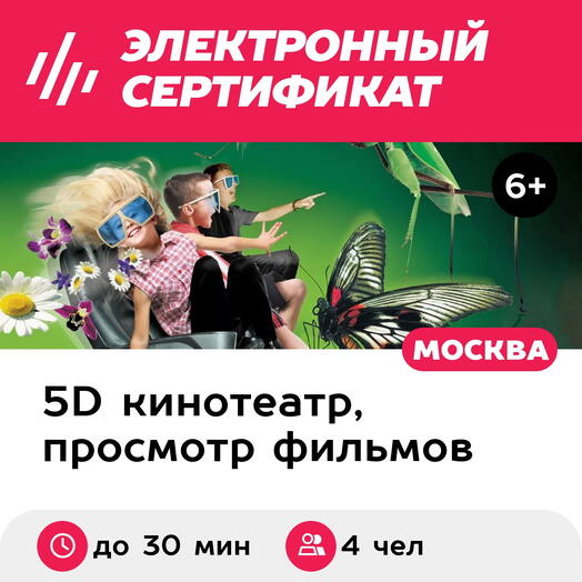 Подарочный сертификат Просмотр 2 фильмов до 15 мин. каждый в 5D-кинотеатре, 4 чел. (Триумфальный)