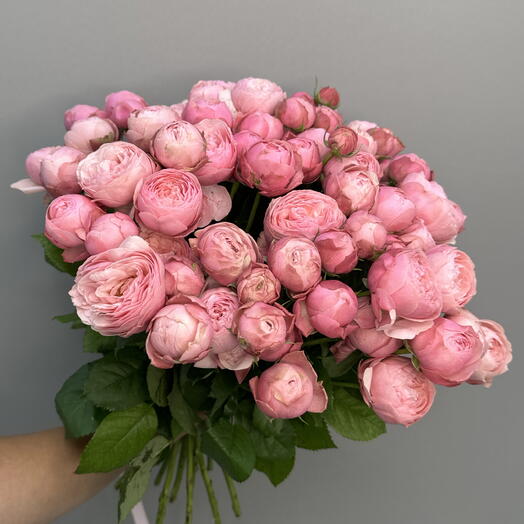 21 пионовидная Роза 🌸