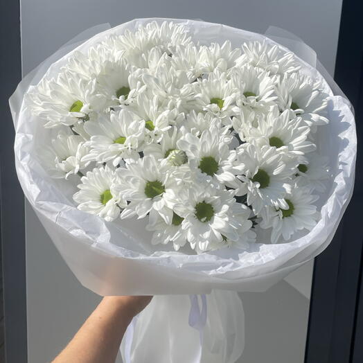 Ромашковая поляна
