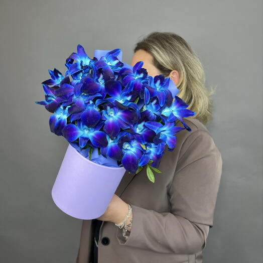 Синие мини орхидеи дендробиум в коробке 💙 Композиция из цветов