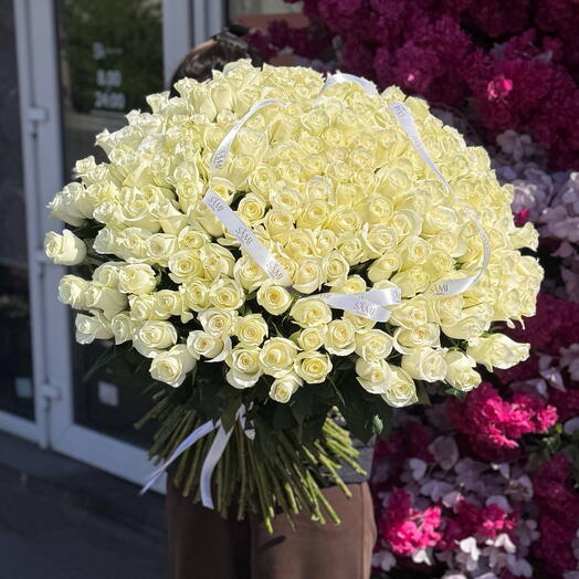 White Rose 201