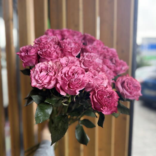 Розы Кантри блю