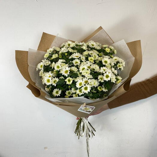 Букет из хризантемы кустовой Сантини ромашковая. Белая кустовая хризантема