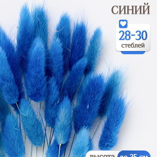Лагурус синий 30 шт. Высший сорт. Высота 25-35 см М483