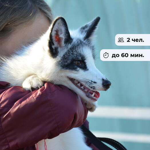 Драгоценность Сибири. Экскурсия в Сибирском зоопарке в Николе