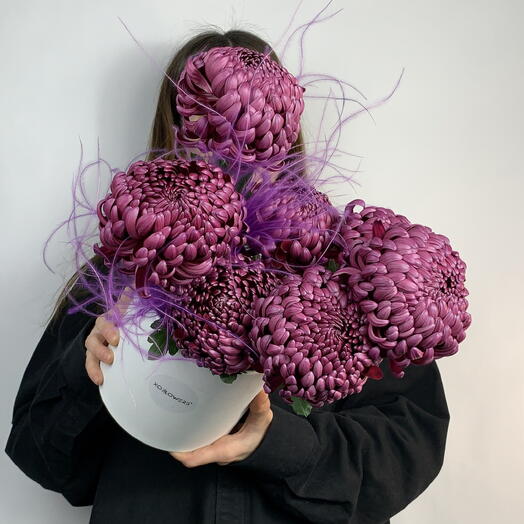 XOFLOWERS
