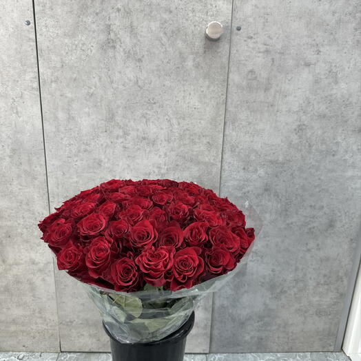 51 Красная Роза свежий 🌹