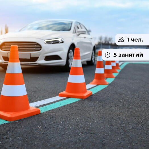 Стань профессионалом! Курс занятий по вождению