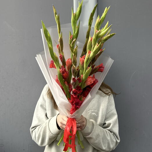 Гладиолусы Красные и Коралловые 🌺