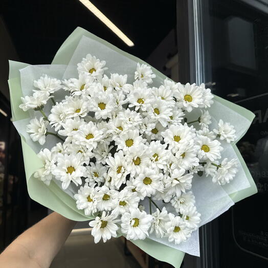 Большой букет ромашковых хризантем🎁