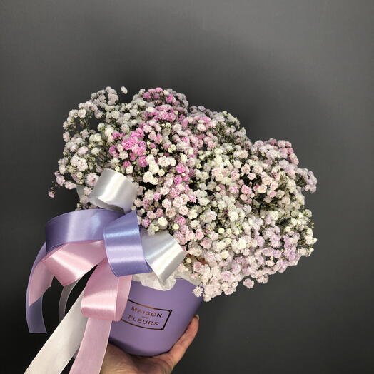 Коробочка с розовыми и фиолетовыми гипсофилами🌸🌺🌸🌺🌸🌺