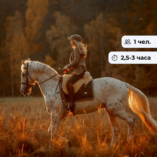 С видом на горы.  Конная экскурсия в пгт. Дагомыс