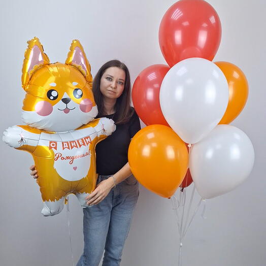 Воздушные шары на день рождения, шар собака корги