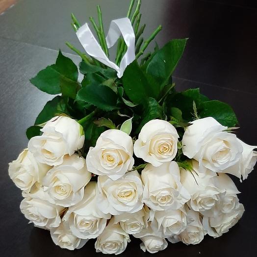19 rosas blancas 🌹
