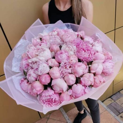 Розовые пионы🌸